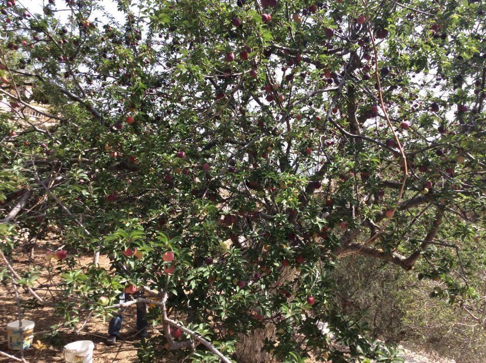 La Villa Di Zazopetra Μενετές Εξωτερικό φωτογραφία
