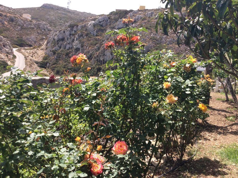 La Villa Di Zazopetra Μενετές Εξωτερικό φωτογραφία