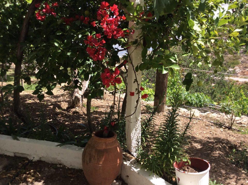 La Villa Di Zazopetra Μενετές Εξωτερικό φωτογραφία