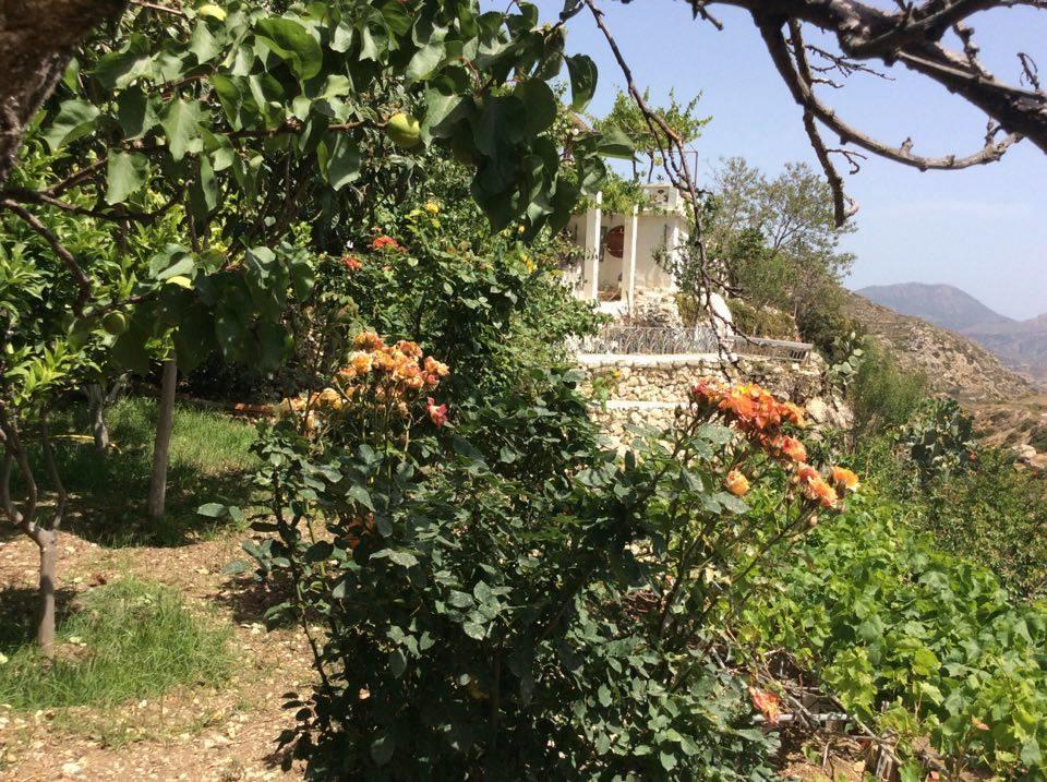 La Villa Di Zazopetra Μενετές Εξωτερικό φωτογραφία