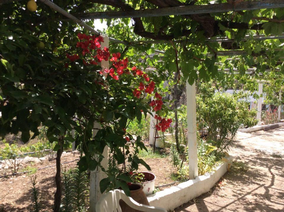 La Villa Di Zazopetra Μενετές Εξωτερικό φωτογραφία