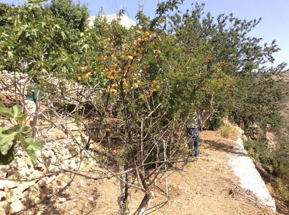 La Villa Di Zazopetra Μενετές Εξωτερικό φωτογραφία