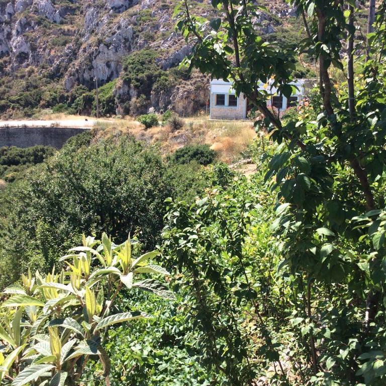 La Villa Di Zazopetra Μενετές Εξωτερικό φωτογραφία