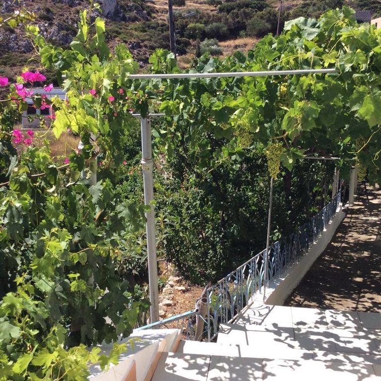 La Villa Di Zazopetra Μενετές Εξωτερικό φωτογραφία