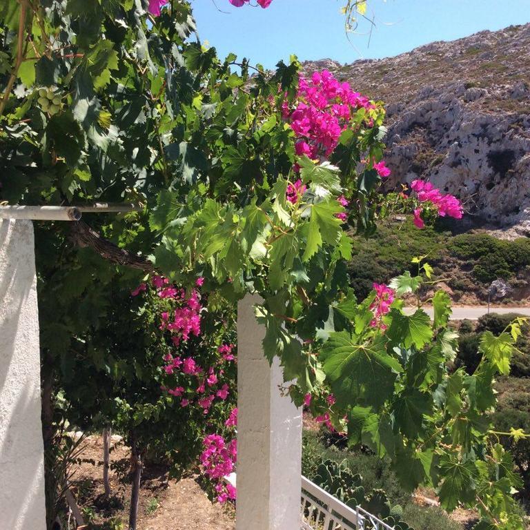 La Villa Di Zazopetra Μενετές Εξωτερικό φωτογραφία