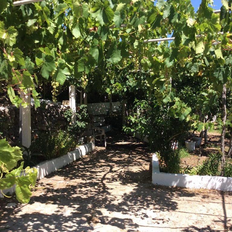La Villa Di Zazopetra Μενετές Εξωτερικό φωτογραφία