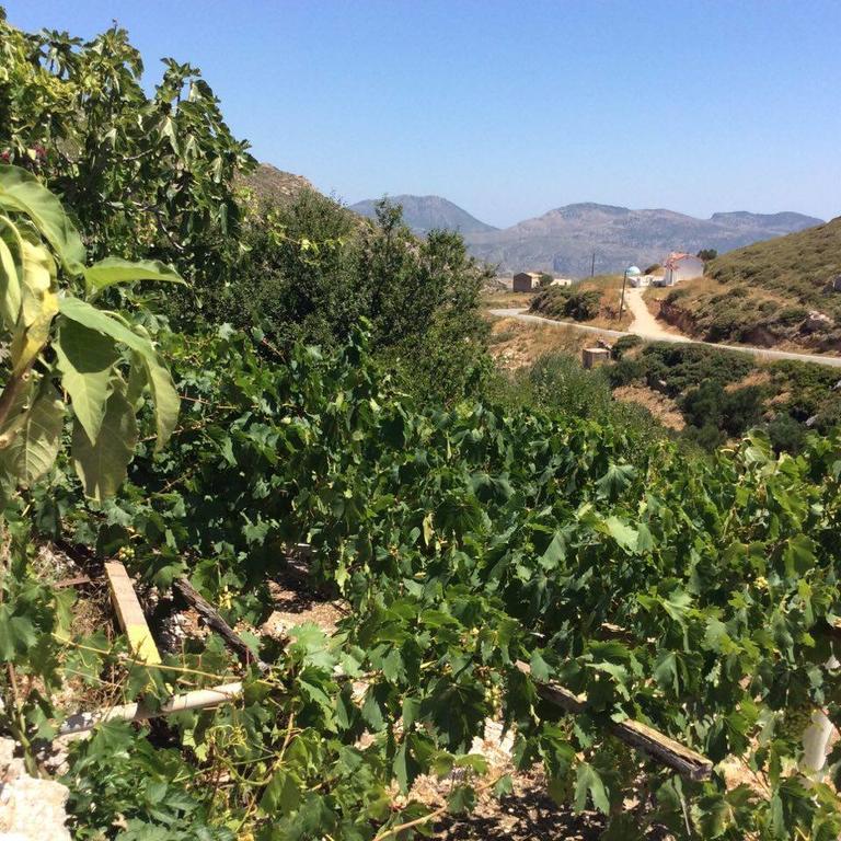 La Villa Di Zazopetra Μενετές Εξωτερικό φωτογραφία